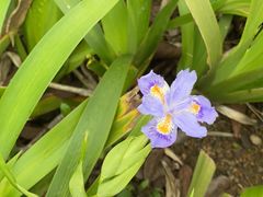 -贵阳市花溪国家城市湿地公园