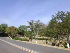 -羊山湖公园