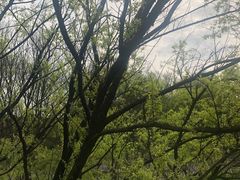 -西湖风景区-江洋畈生态公园