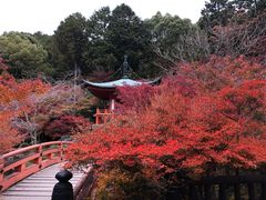 -醍醐寺