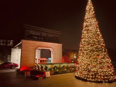 -上海崇明金茂凯悦酒店