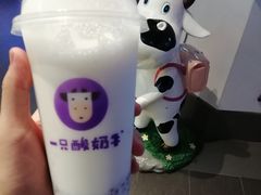 -一只酸奶牛(海南友谊阳光城店)
