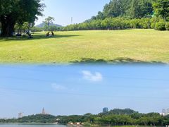 -顺峰山公园
