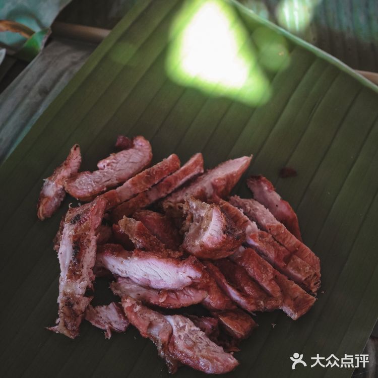 小象雨林|在西双版纳的原始森林里