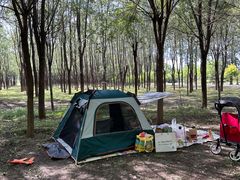 -东郊湿地公园