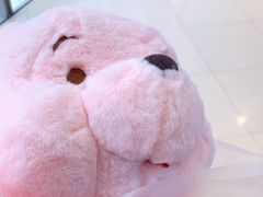 -PAWTOY爪e玩偶店(天兴罗斯福店)