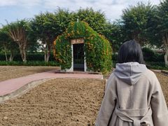 -玫瑰小镇