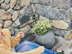 -MOJ coffee(瓯海泽雅水碓坑店)