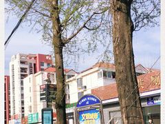 -芦潮港集贸市场