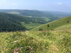 -塞罕坝国家级自然保护区