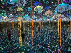 -深圳独角兽星空艺术馆