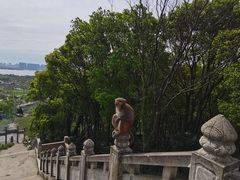 -苏州上方山国家森林公园