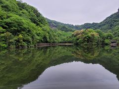 -青城山