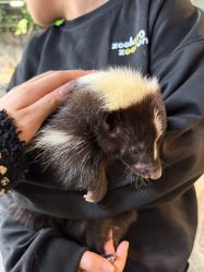 -Zoolung Zoolung动物主题公园(海信广场店)