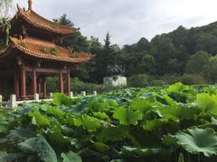 -富乐山