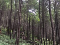 -丹东天桥沟景区