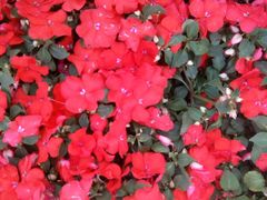 -长春公园(普阳街道)