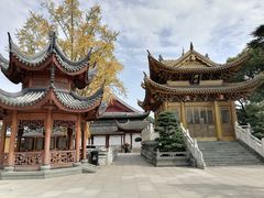 -上海东林寺(金山区)