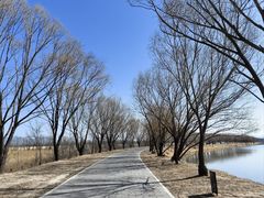 -野鸭湖国家湿地公园