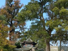 -南华禅寺