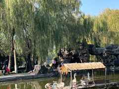 -洛阳市隋唐城遗址植物园