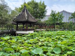 -上海醉白池公园