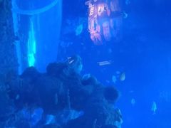 -成都浩海立方海洋公园