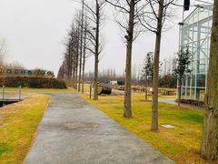 -前小桔亲子创意农场·草莓采摘·露营烧烤