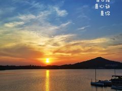 -上海月湖雕塑公园