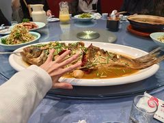 -张氏鱼庄
