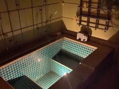 -春晖园度假酒店温泉