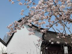 -尚湖风景区