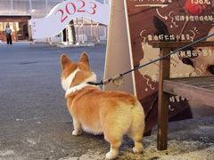 -肥朵食堂(带梦胡同店)