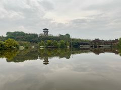 -张坝桂圆林公园