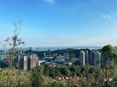 -板樟山森林公园