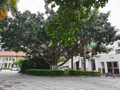 -厦门大学(思明校区)