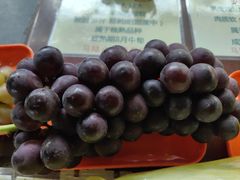 -马陆小张葡萄园农家乐