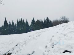 -秦始皇帝陵博物院-丽山园