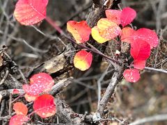-北京西山国家森林公园