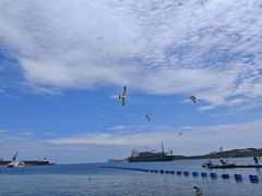 -海驴岛(荣成市)