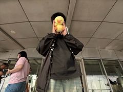 -东方明珠259米全透明悬空观光廊