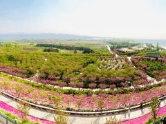 -古柏渡飞黄旅游区