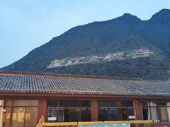 -跃进桥火烧鸡(怒江西岸店)