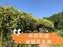 -萨尔浒风景区