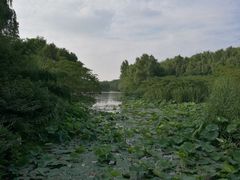 景点-昆山城市生态森林公园