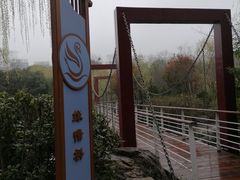 -天鹅湖体育公园