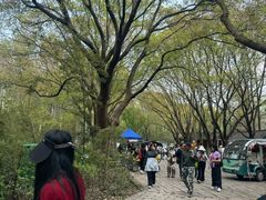 -同里国家湿地公园