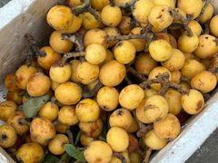 -塘栖枇杷特色园区