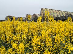 -中国天府农业博览园