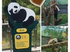 -黔灵山公园